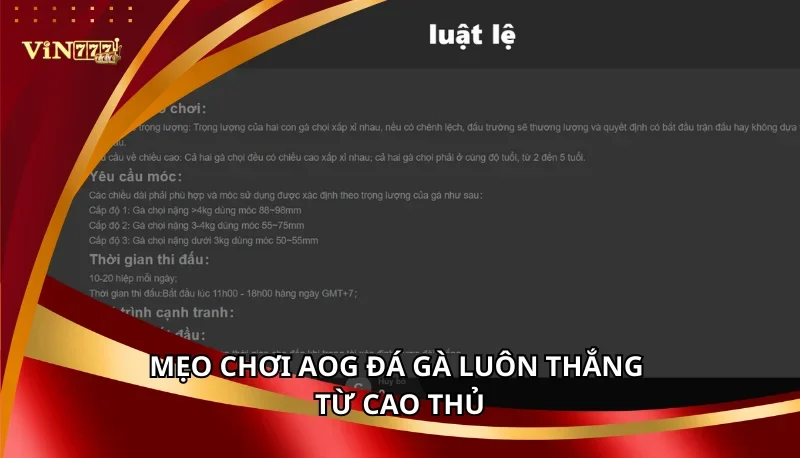 AOG Đá Gà Vin777: Các Hình Thức Đá Gà Và Mẹo Chơi Cao Thủ 7 Mẹo chơi AOG Đá Gà luôn thắng từ cao thủ