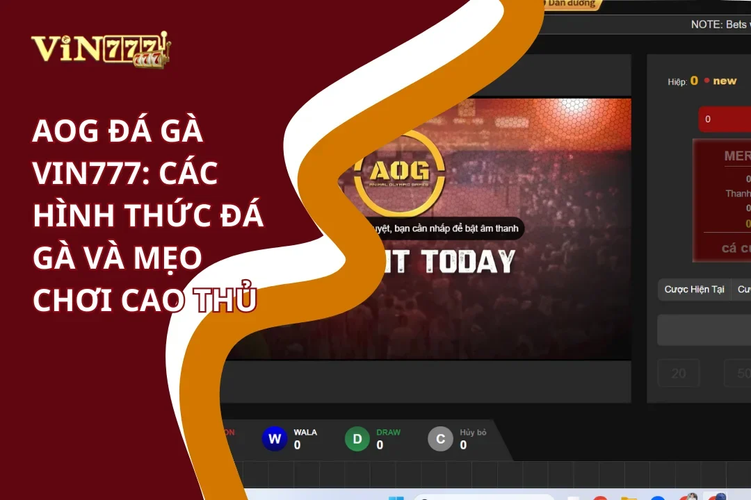 Các hình thức đá gà và mẹo chơi AOG đá gà