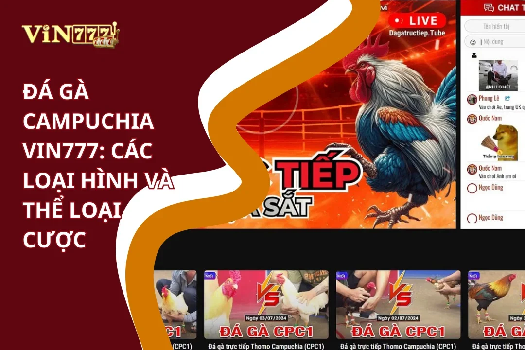Các loại hình đá gà campuchia