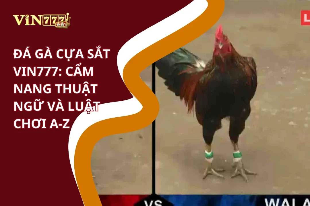 Cẩm nang thuật ngữ đá gà cựa sắt