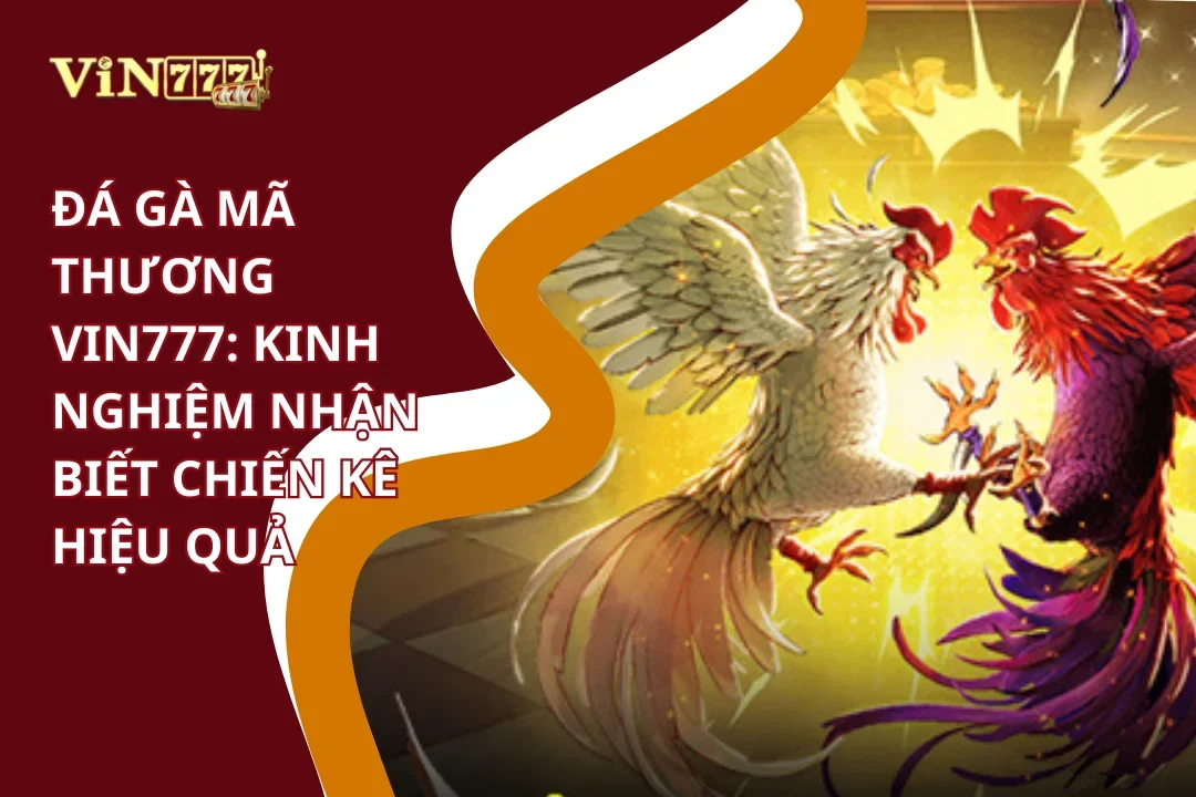 Đá gà mã thương kinh nghiệm Vin777